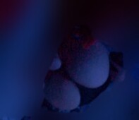 NALGONA GORDIBUENA COMPLACIENTE CALIENTE Y LINDA - FOTO 1