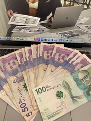 ATENCIÓN! GANANCIAS DIARIAS GARANTIZADAS, NO PAGAS PUBLICIDAD, NI SITIOS. - FOTO 6