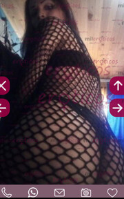 HL QUIERO LECHE RICA Y ESPESA EN ALFONSO LÓPEZ BIEN PERRA - FOTO 1