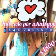 HOLA PAPY SOY JACKELINE UNA DELICIOSA ZORRITA QUE TE HARA DISFRUTAR AL MAXIMO - FOTO 4