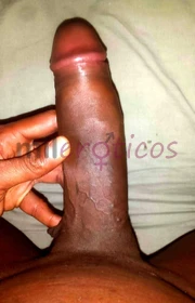 JOHNNY WHISTON AFROLATINO ENTREGANDO SERVICIO PARA MUJERES - FOTO 9