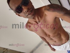 NICHE CACORRO ROMPE CULOS 22CM NUEVO EN LA CIUDAD DE CALI. - FOTO 9