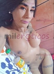 PIEL CANELA EXOTICA VIRTUALES DISPONIBLE 24 PRONTO EN BARRANQUILLA TE ESPERO - FOTO 4