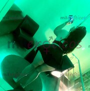 CALIENTE, CULONA & UNA PUTA EN LA CAMA!! SIN TAXI CONTÁCTAME - FOTO 10