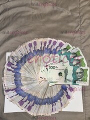 SE SOLICITAN CHICAS, GANANCIAS INMEDIATAS , GARANTIZADAS, PRIVACIDAD DISCRECCION - FOTO 7