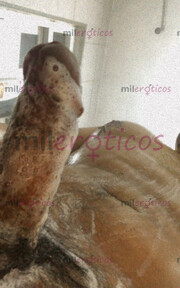 MASAJE PARA DAMAS TÁNTRICO Y RELAJANTE A DOMICILIO Y HOTEL - FOTO 5