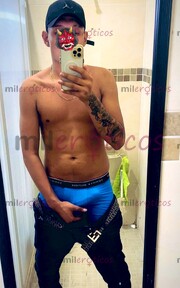 CHAKAL VERGÓN DOMINANTE DISPONIBLE EN MÉRIDA - FOTO 9