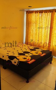 CASA BUSCA CHICAS PARA GENERAR BUENOS INGRESOS - FOTO 10