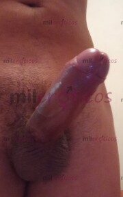 ACTIVO CHAKAL Y TIERNO A LA VEZ,SUPER COMPLACIENTE - FOTO 8