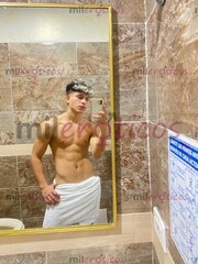 CÚCUTA CHICO PARA COMPLACERTE NUEVO EN LA CIUDAD POLLO LINDO PINTA - FOTO 5