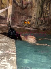 CHICA COMPLACIENTE Y MUY TRAVIESA, DISPUESTA PARA DARTE UN RICO Y HÚMEDO MASAJE! - FOTO 5