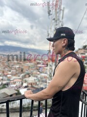 POLLO PAISA MACHO ALTO TAUADO VERSÁTIL DISPONIBLE 24 7 - FOTO 3