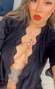 ALEXA CABALLOTA NUEVA EN TU CIUDAD CON GANAS DE CABALGAR EN TODAS LAS POSES - FOTO 9