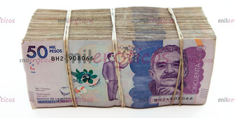 SE BUSCA PERSONAL PARA TRABAJAR PAGOS DIARIOS EN EFECTIVO TOTAL DISCRECION - FOTO 10