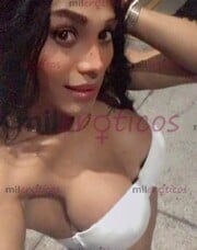 LLEGUÉ PARA QUEDARME EN ESTE PORTAL ESTEFANÍA MORENA MULATA - FOTO 2