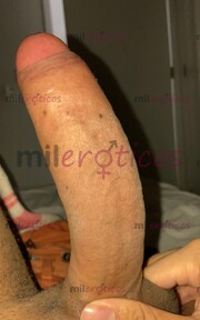 POLLO ACTIVO COSTEÑO ARRECHO NUEVO EN BOGOTÁ - FOTO 6