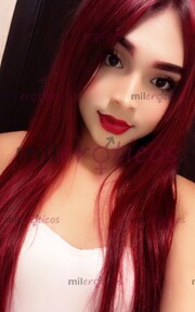 GUERA NORTEÑA DE PASO POR MÉRIDA YUCATAN - FOTO 2