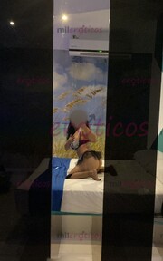 NUEVA EN EL AMBIENTE!! CORAZON ESCRIBEME... - FOTO 4