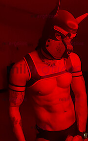 PV SCORT GUAPO, ALTO NIVEL, DISCRETO, VERGÓN, ATRACTIVO 19CM UNCUT - FOTO 4