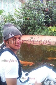 COSTEÑO NUEVO EN LA CIUDAD DORADO COMPLACIENTE DISPONIBLE - FOTO 5