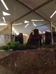 DANI CHAVITA ELEGANTE COMPLACIENTE Y SUPER BUENA ONDA - FOTO 9