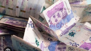 SOLICITO CHICAS MAYORES DE 18 AÑOS AMBICIOSAS PROACTIVAS DISPUESTAS A GANAR - FOTO 9