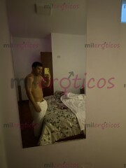 DORADO LECHERO MAMADOR NUEVO EN TU CIUDAD - FOTO 1