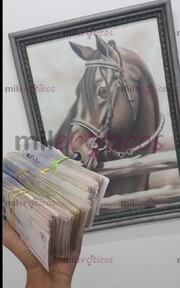 SI ERES UNA POTRANCA INDEPENDIENTES Y TE GUSTA TENER BUENOS INGRESO ESCRIBEME - FOTO 1