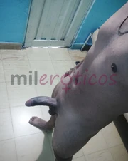 SOU UM JOVEM MUITO RECEPTIVO, FAREI O QUE VOCÊ QUISER. - FOTO 6