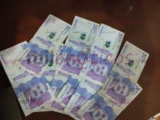 CUPOS DISPONIBLES PARA TRABAJAR OFRECEMOS VIVIENDA SIN COSTO - FOTO 5