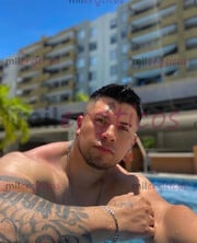 DISPONIBLE PINTA DISCRETO VERGON LA MEJOR COMPAÑÍA PARA CUALQUIER OCASIÓN - FOTO 2