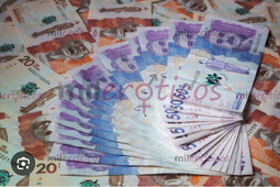 BUSCO SCORTS PARA APARTAMENTO PRIVADO QUE QUIERAN GANAR DINERO - FOTO 4