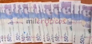 BOSA ESTÁ EN BUSCA DE CHICAS INTERESADAS EN INGRESOS DIARIOS - FOTO 6