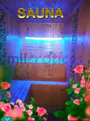 SAUNA THERMAS..VIDEOX CUARTOS OSCUROS CON GLORY HOLE..MASAJISTAS - FOTO 1