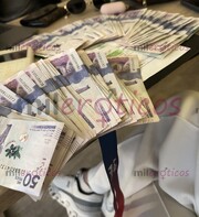 GENERA INGRESOS DIARIOS O SEMANALES DESDE $2.000.000 HASTA $3.000.000 - FOTO 9