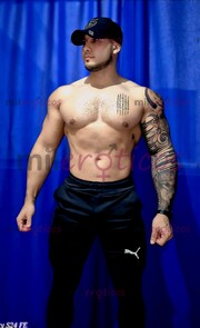 DISPONIBLE MACHO ALFA DISPONIBLE Y NUEVO EN LA CIUDAD - FOTO 1