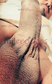ACOMPAÑANTE PARA DAMITAS COMPLACIENTE Y CORNEADOR - FOTO 7