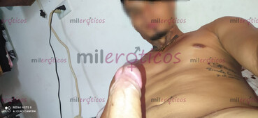 LLEGO EL AMANTE PERFECTO ,CARIÑOSO,Y CULION - FOTO 5