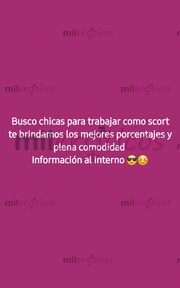 TRABAJA CON NOSOTROS Y LOS MEJORES PORCENTAJES - FOTO 6