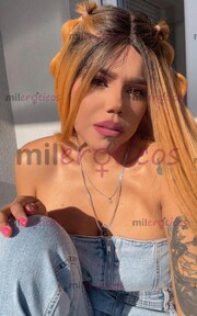 CARTAGENA VIIRTUAL SOLO SOLVENTES LA POTRA HUMANA DISPONIBLE PARA AMANECIDA - FOTO 1