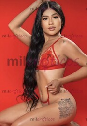 PROMO ULTIMAS HORAS EN MERIDA SOFI SUPER PETIT MIDO 1.50MTS TRATO DE NOVIOS - FOTO 2