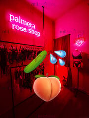 TIENDA DE JUGUETES SEXUALES PALMERA ROSA PIDE NUESTRO CATALOGO - FOTO 6