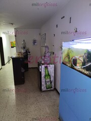 CASA DE CITAS EN BUSCA DE CHICAS QUE QUIERAN TRABAJAR - FOTO 5