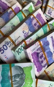 BUSCO CHICAS PARA TRABAJAR, PUBLICIDAD INCLUIDA, EXELENTES INGRESOS EN BOSA - FOTO 10