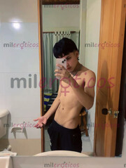 POLLO VERSÁTIL ARRECHO DISPONIBLE POCOS DÍAS - FOTO 5