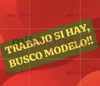 BUSCO MODELOS Y AMIGUITA TRABAJAR EN MI APTO MEDELLÍN 50% Y 50%. - FOTO 9