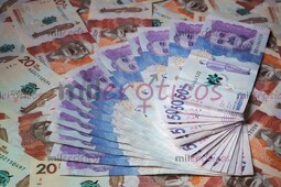 BUSCO CHICAS PARA TRABAJAR, PUBLICIDAD INCLUIDA, EXCELENTES INGRESOS - FOTO 6