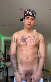 HOLA, SOY DILAN POLLO VERGON COLOMBIANO 22CM, ARRECHO Y COMPLACIENTE - FOTO 3