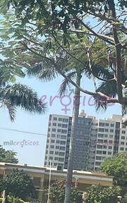 BUSCAMOS TALENTO NENAS LINDAS QUE NECESITEN INGRESOS ESTARÁS - FOTO 10