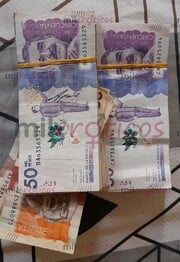 BUSCAMOS CHICAS PARA TRABAJAR SERÍAS, COMPROMETIDAS, DISCIPLINADAS EN BOGOTÁ - FOTO 1